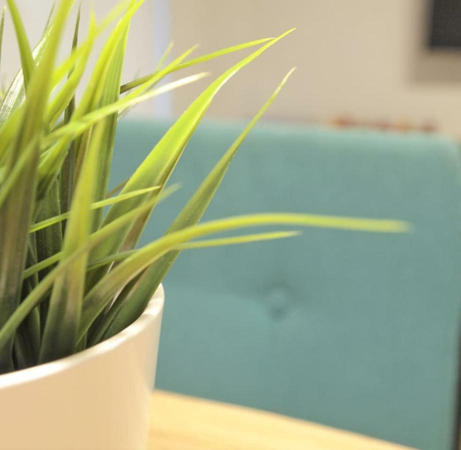 Apartamento Estella-Lizarra Zewnętrze zdjęcie